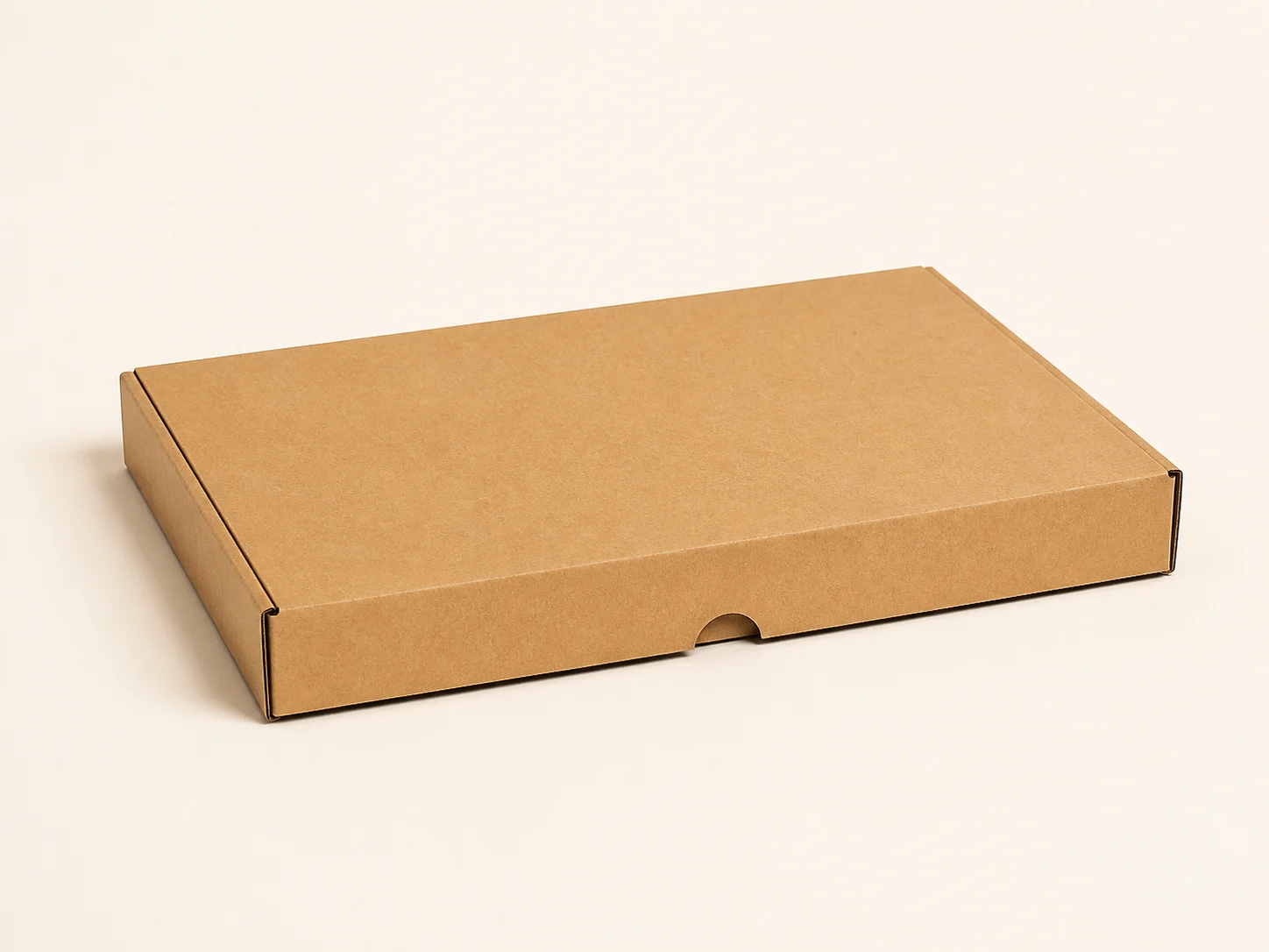 Brievenbusdoos 160 x 110 x 28 mm